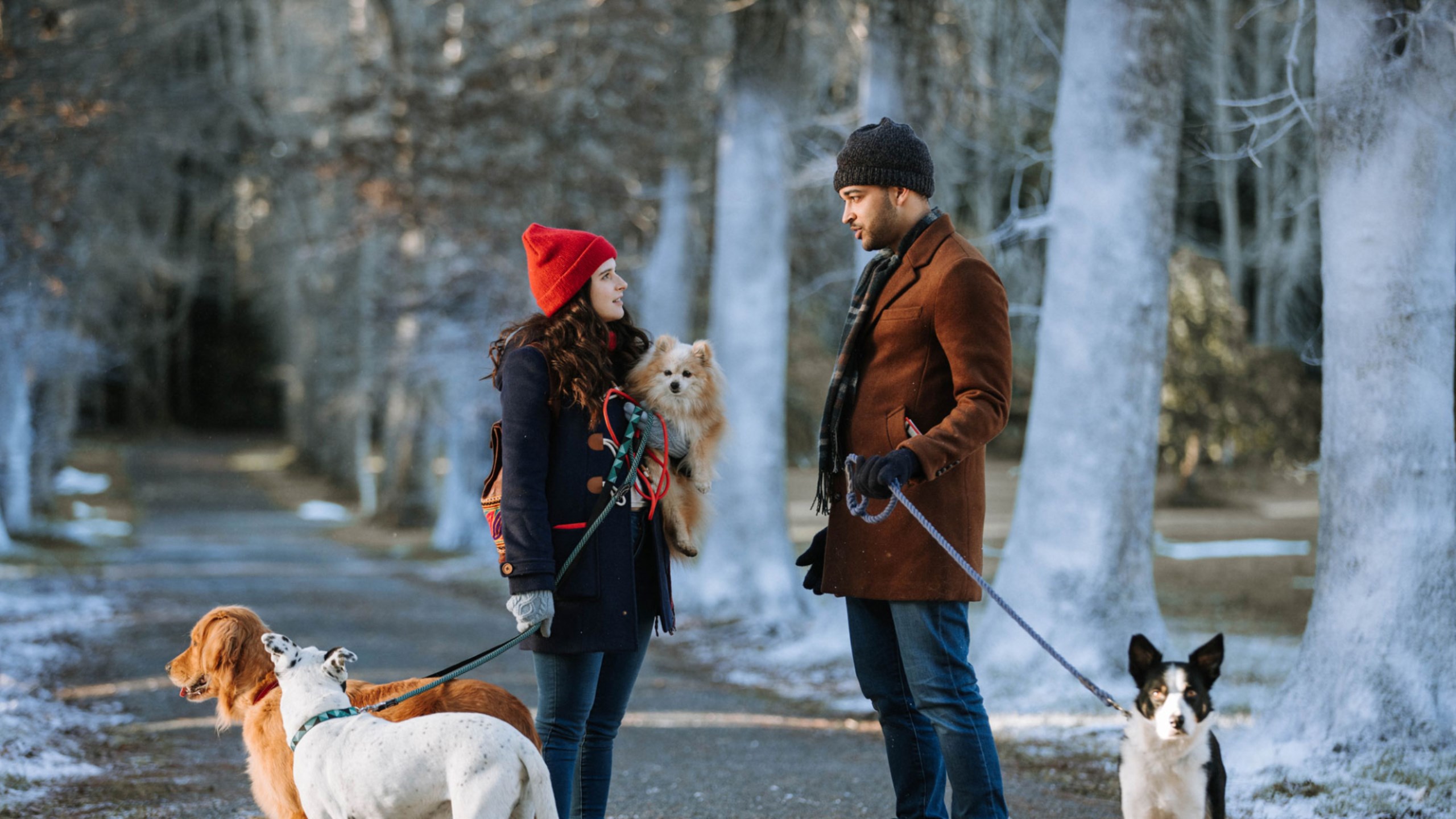 Puppy Love for Christmas Watch Full Movie From 2023 on WithLove