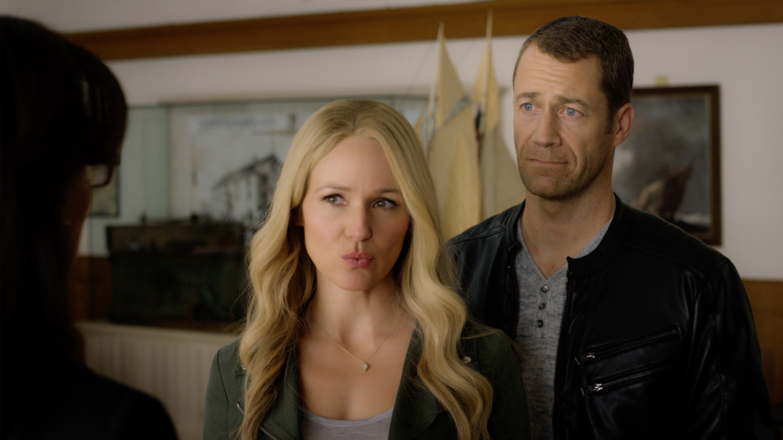 Fixer Upper Mysteries Watch Series on WithLove